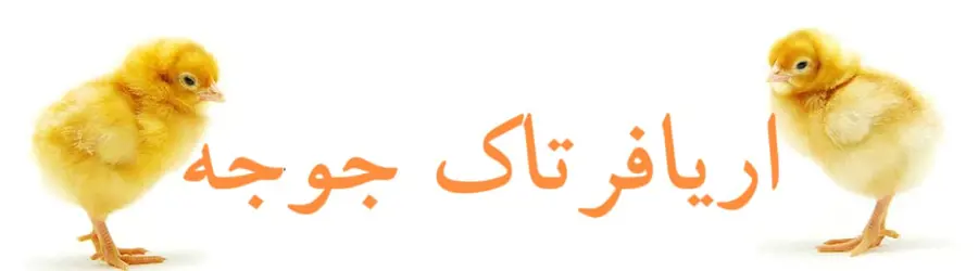 غرفه فروش جوجه گوشتی اریافرتاک جوجه