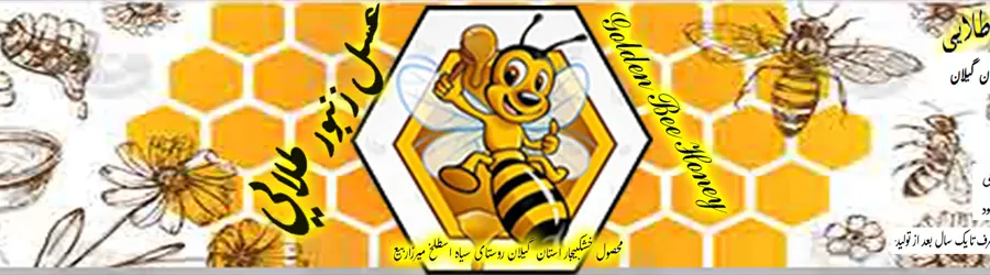 غرفه زنبورستان زنبور طلایی