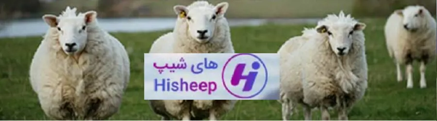 غرفه های شیپ