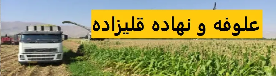 غرفه علوفه و نهاده قلیزاده