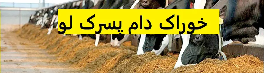 غرفه خوراک دام پسرکلو