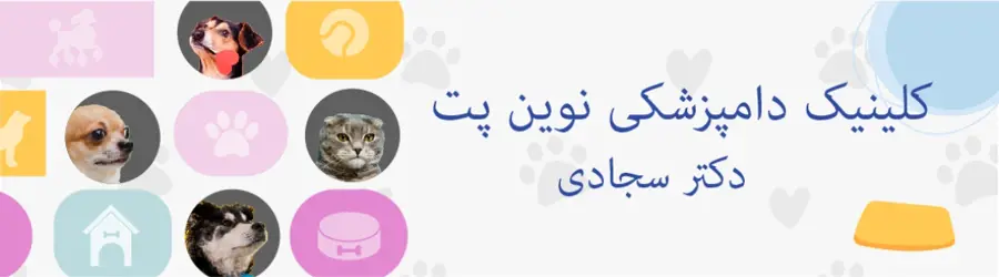 غرفه کلینیک دامپزشکی نوین پت