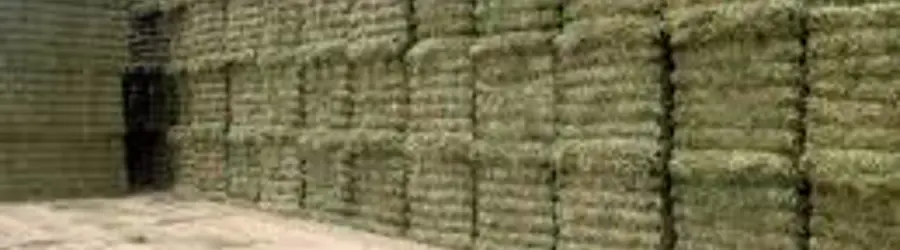 غرفه تجارت گستر ایرانیان