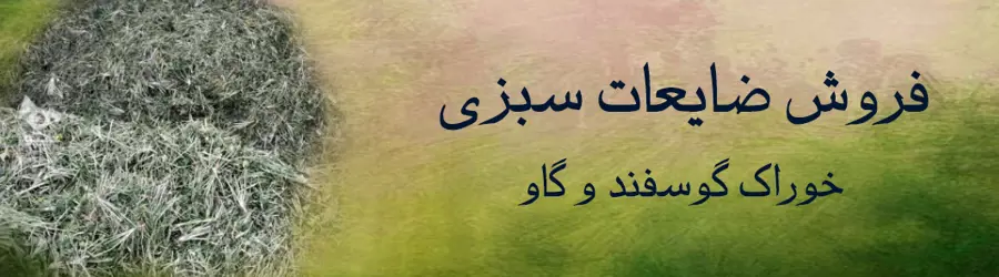 غرفه فروش ضایعات سبزی
