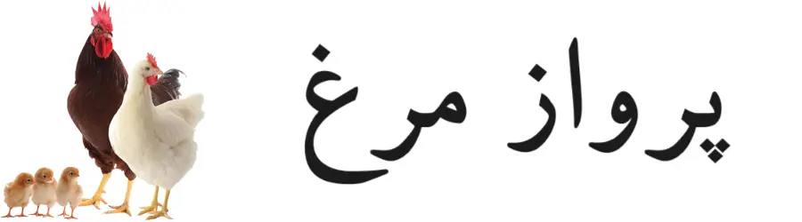 غرفه پرواز مرغ