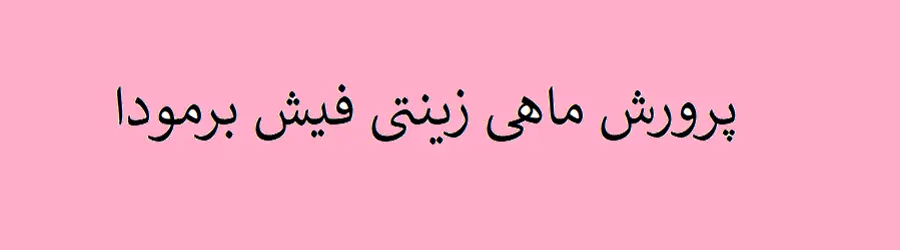 غرفه پرورش ماهی زینتی فیش برمودا