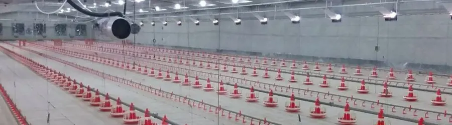 غرفه انبوه طیور سازان