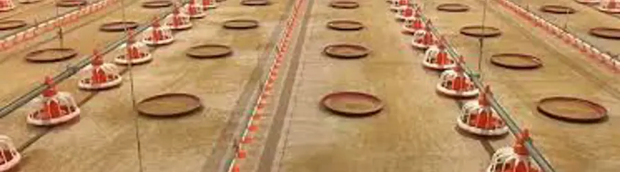 غرفه شرکت تولید تجهیزات مرغداری