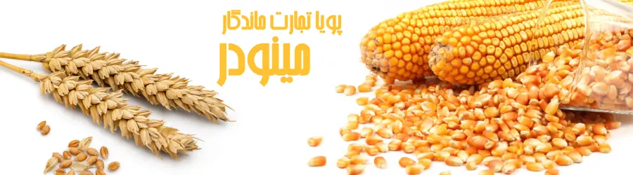 غرفه پویاتجارت ماندگار مینودر