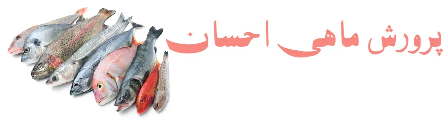 غرفه پرورش ماهی احسان