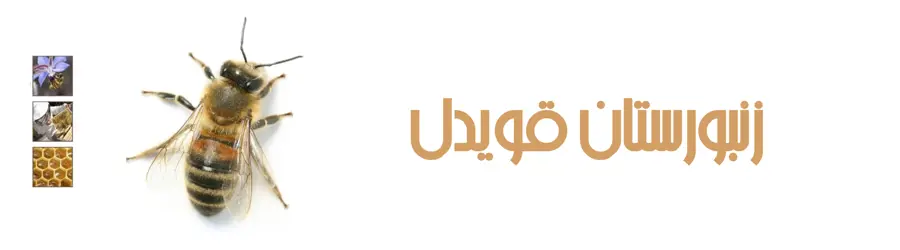 غرفه زنبورستان  برادران قویدل