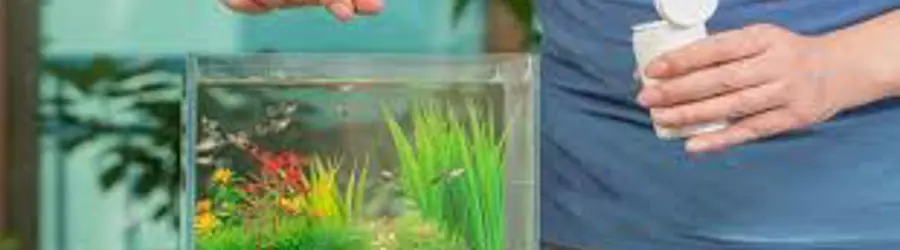غرفه غذای ماهی