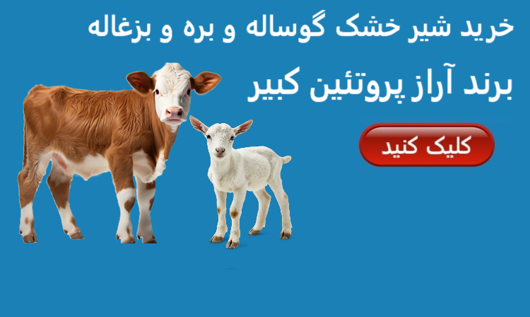 وب سایت مرغابی